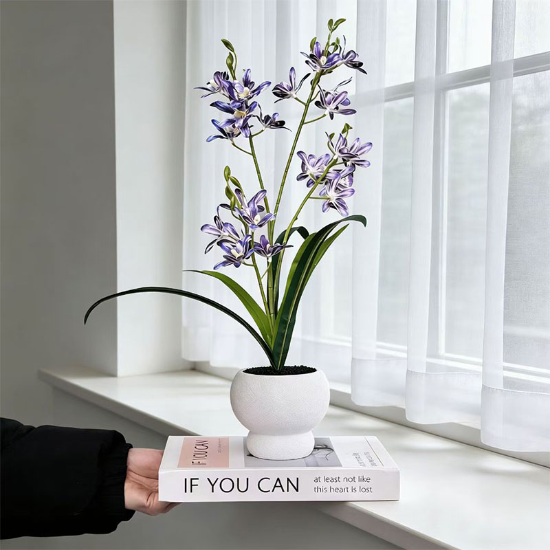 Nieuwe Springende Orchidee Zwa - Bonsai Garden With Sand recensie en prijs