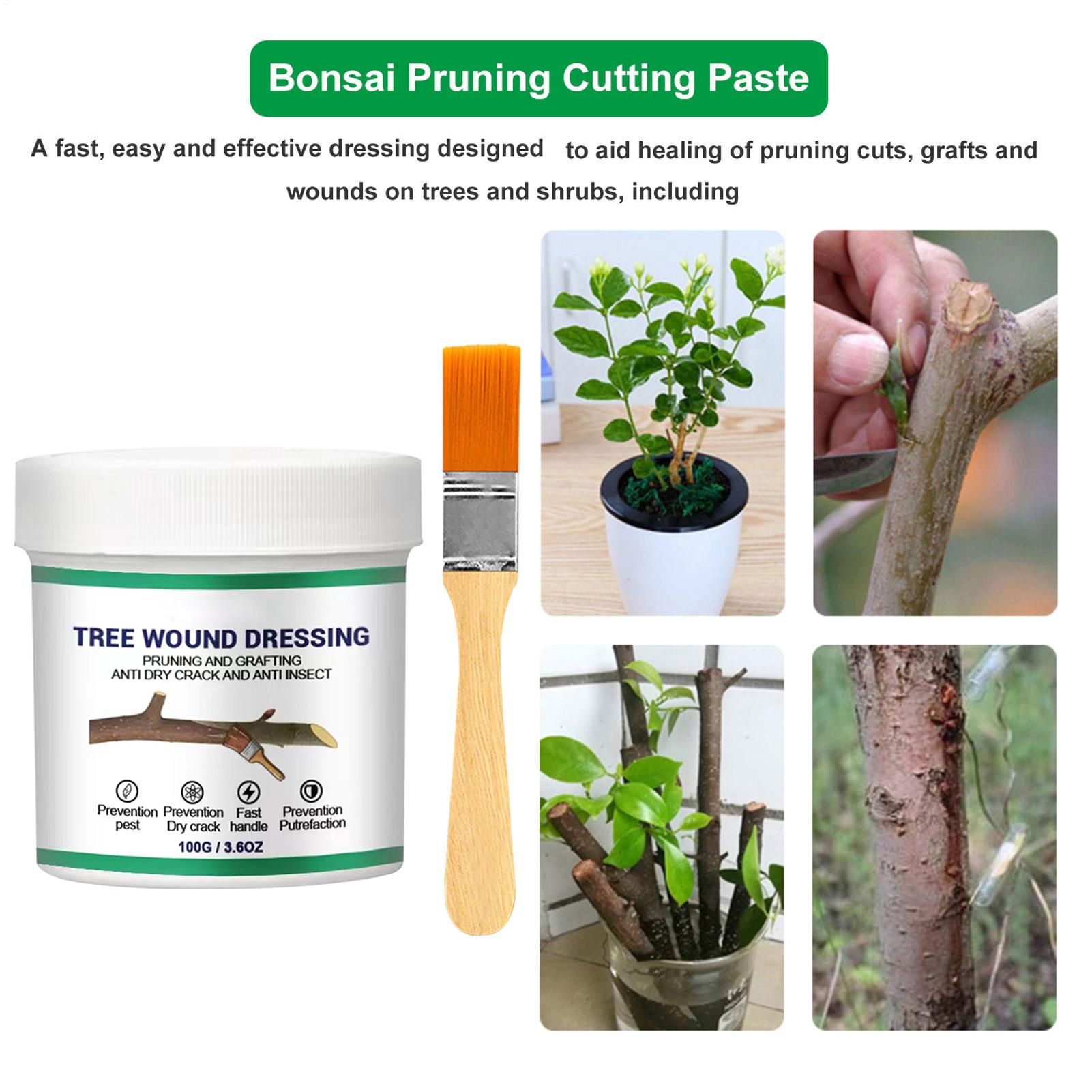 100g Boomwond-Snoeisealer, Sno - Us Bonsai Garden recensie en prijs